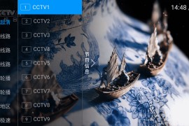 飞扬直播 v9.4 TV版