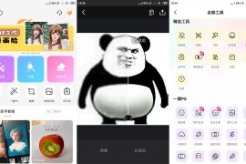 大神P图 v6.6.1.1-CN 安卓绿化版