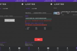 Lj视频下载器 v1.1.46 安卓绿化版