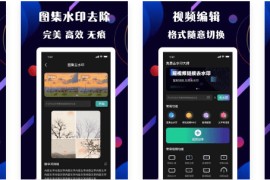 视频去水印 v1.0.10 安卓绿化版