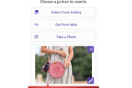 Reverse Image Search – rimg v1.2.4 安卓绿化版