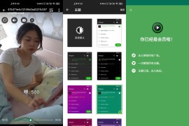 XPlayer v2.4.1 安卓绿化版