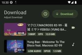 YTDLnis v1.7.9 安卓版