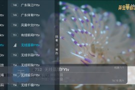 龙凤直播 v5.2.0 TV版