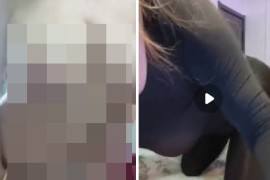 快手 大喵喵  大奶肥臀  情趣 全裸 抠逼自慰 11v