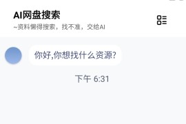 AI网盘搜索 v1.2.9 安卓绿化版