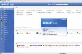 金蝶KIS专业版V14.0注册机-破解工具-免狗补丁