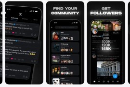 Twitter X v11.81.1 iOS绿化版+插件