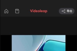 Videoleap v1.31.1 安卓绿化版