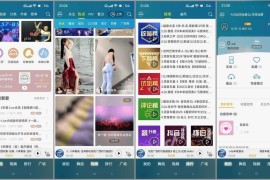 DJ音乐盒 v8.2.7 安卓绿化版