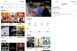 大师兄影视 v4.0.0 iOS绿化版