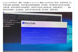 burpsuite bp 2024年3月 最新专业版中文汉化 带JDK 送字典教程