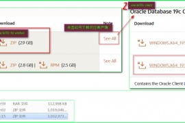 Oracle---windows下安装oracle19c 