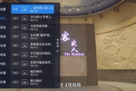 TV直播2 v1.5.0(ku9) TV版